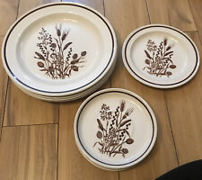 J&G Meakin Country Lane 10” Dinner Plates + Small PlatesRoyal Victoria 70s 80s