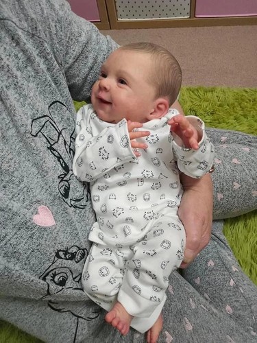 Lifelike reborn baby dolls - reborn,