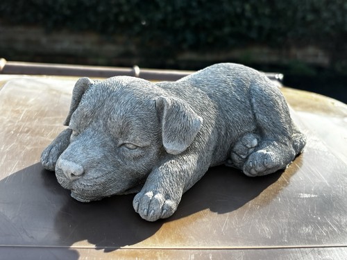 Small dog garden indoor - dog, garden/indoor