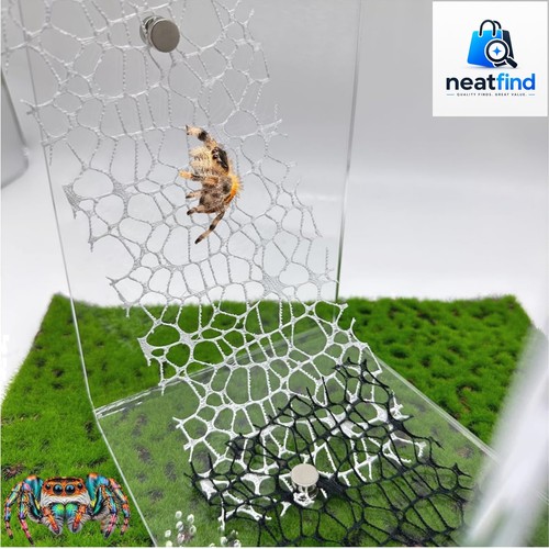 Pcs jumping spider habitat - spider,