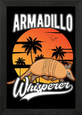 Armadillo Gift Framed Wall Art