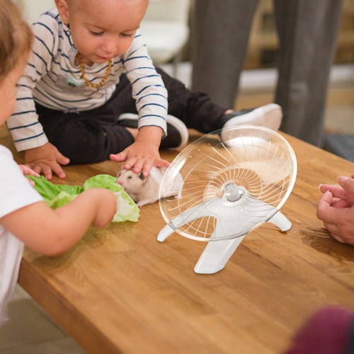 Hamster running wheel large - hamster,