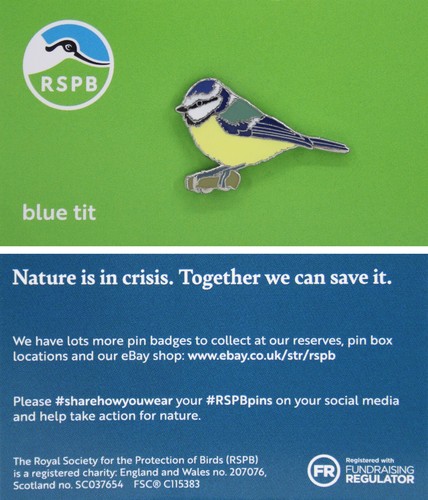 Rspb pin badge niic blue - badge,