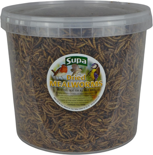 Dried mealworms for - mealworms, wild