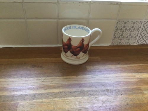 Emma bridgewater rhode - bridgewater,