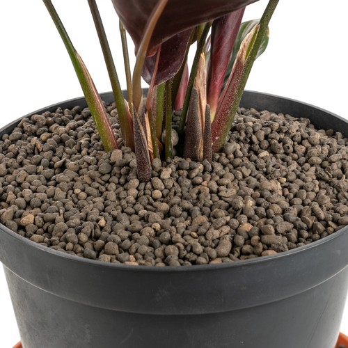Clay pebbles hydroponics grow - clay,