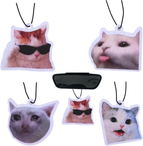 Pack funny cat hanging car - hanging,