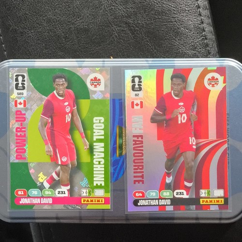 Panini fifa world - world, cup