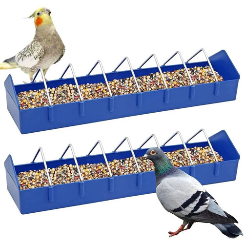 Budget feeders for racing - budget,
