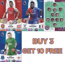 Panini Premier League