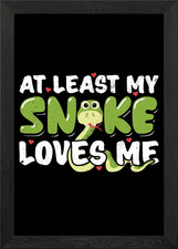 Snake Reptile Pet Gift Framed