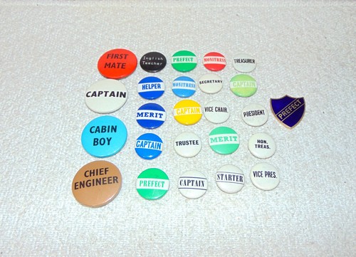 School college leadership - college, pin