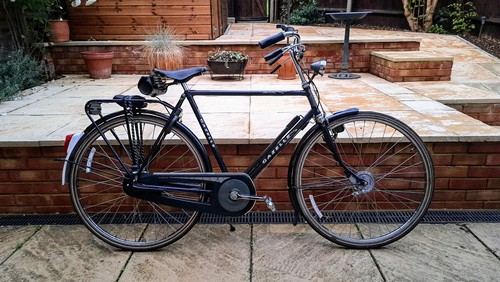 Gazelle solide beautiful - solide",