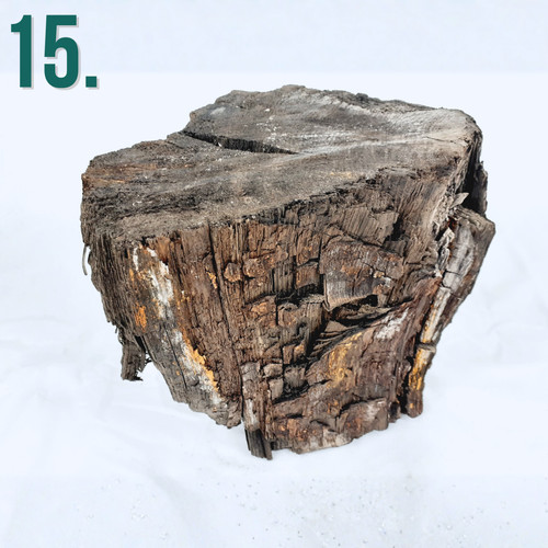 English bog oak wood - english,