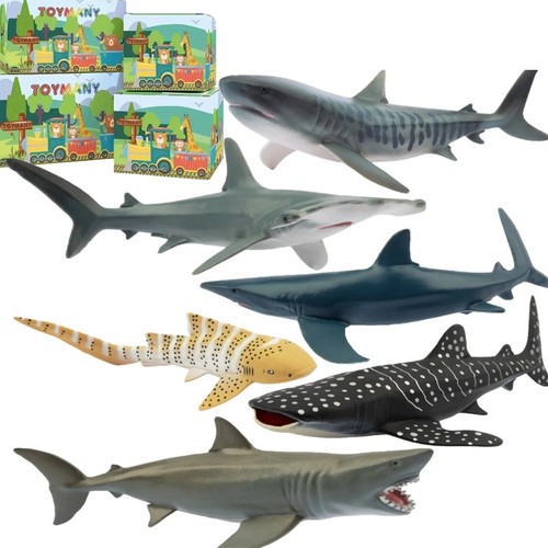 Toymany 6pcs l - toymany,