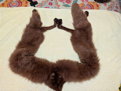 Vintage antique real fox fur - vintage/antique,