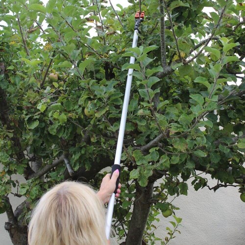 Long reach tree - long, and