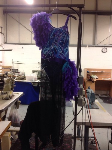 Stunning new dance costume - new,