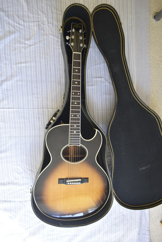 Washburn monterey 1983 - washburn,