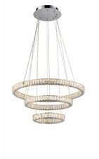 Christopher Wray 'Halo'