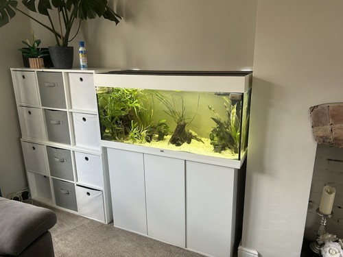 Juwel rio 180 fish tank - juwel,