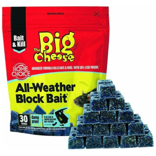Big cheese professional stv - big,