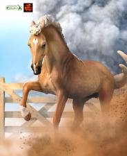 Lusitano Stallion Sooty