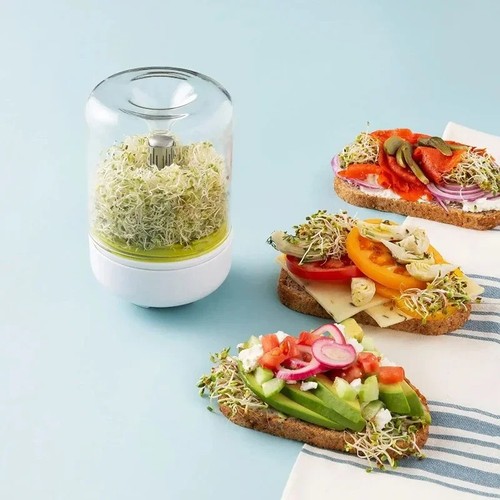 Countertop seed sprouter - seed,