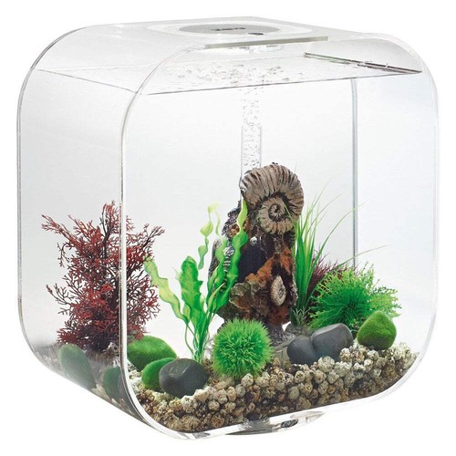 Biorb life aquarium - life,