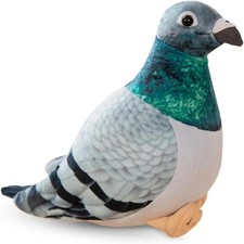 Simulation Pigeon Bird Soft