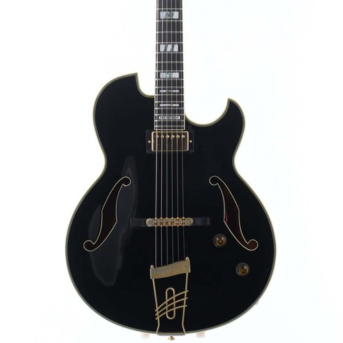 Ibanez pat metheny signature - pat,