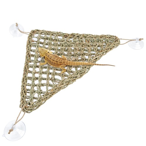 Bearded dragon hammock - hammock, reptile