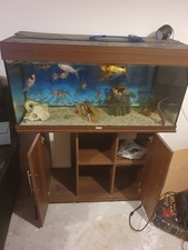 Juwel Rio 180  Aquarium Fish