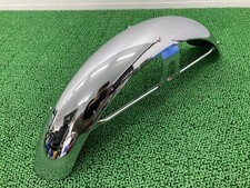 Genuine Kawasaki front fender