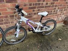 Dawes Redtail Kids Bike