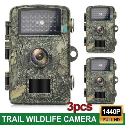 Pack 24mp 1440p hunting - 1440p,