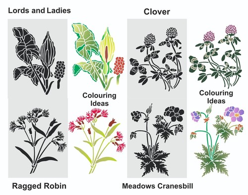 Wild flower stencil set 4x - wild,