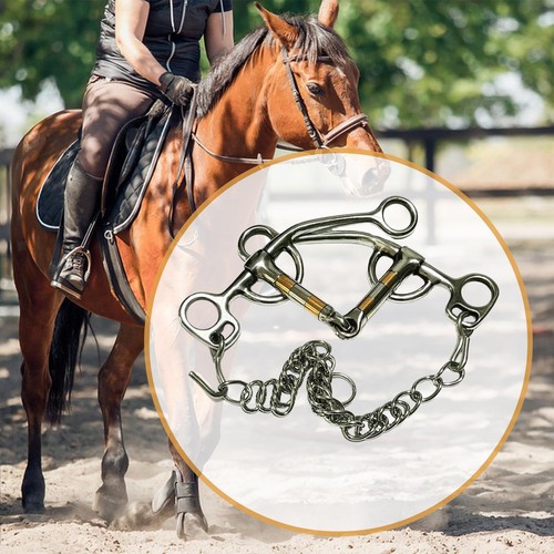 Horse bit riding equipment - horse,