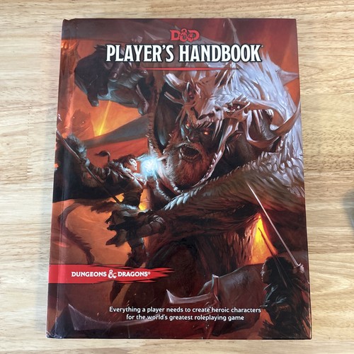 Dungeons and dragons player - dungeons, player's