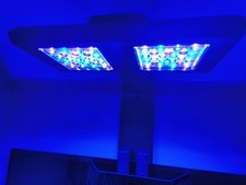 Reef Factory Reef Flare Pro M