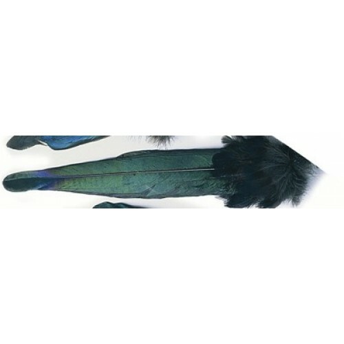 Magpie tail fly tying - magpie, tail,