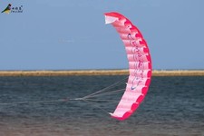 Dual Line Parafoil Kite