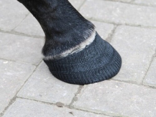 Orthohoof equine quarter crack - orthohoof,