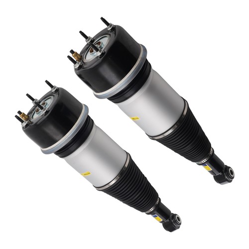 Pair rear air - pair, strut