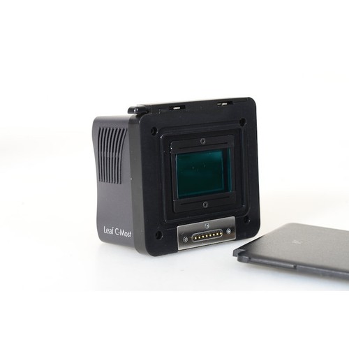 Leaf digital back most - leaf, c-most