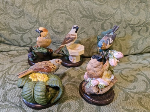Country bird collection - country,