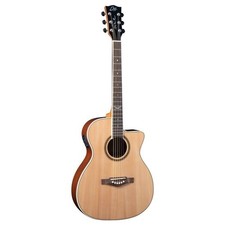 Acoustic Guitar Eko Nxt