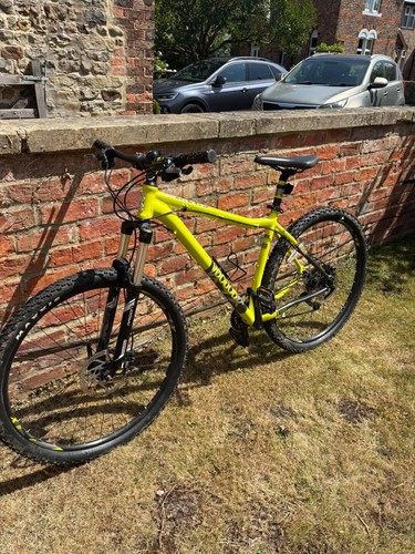 Men mountain bike - mountain,