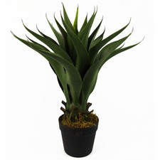 Artificial tropical yucca - artificial,