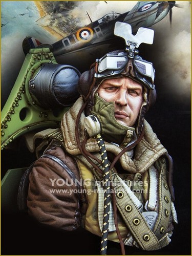 Young miniatures raf - -,